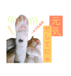 かわいいの天才 我が子からのメッセージ（個別スタンプ：2）