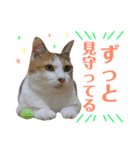 かわいいの天才 我が子からのメッセージ（個別スタンプ：4）