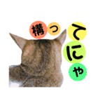 かわいいの天才 我が子からのメッセージ（個別スタンプ：8）