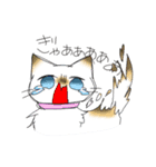 うちの腹黒猫（個別スタンプ：26）