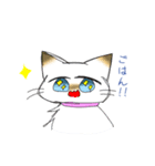 うちの腹黒猫（個別スタンプ：28）
