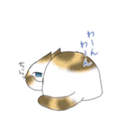 うちの腹黒猫（個別スタンプ：31）