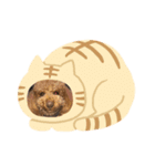 雄介ちゃん2（個別スタンプ：4）