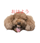 雄介ちゃん2（個別スタンプ：6）