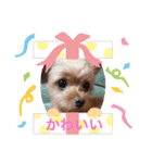 りくとあきとのスタンプ（個別スタンプ：7）