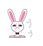 パキパキうさぎ（個別スタンプ：12）