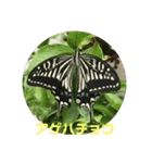 みわんのお花集（個別スタンプ：2）