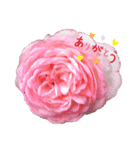 みわんのお花集（個別スタンプ：3）