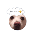まだまだおしゃべりカレン（個別スタンプ：3）