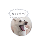まだまだおしゃべりカレン（個別スタンプ：4）
