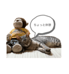 ハルやん①（個別スタンプ：4）