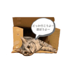 ハルやん①（個別スタンプ：7）