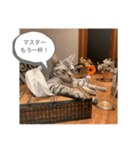 ハルやん①（個別スタンプ：8）