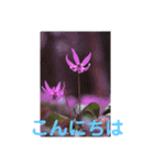 こころ休まる花と風景(10)（個別スタンプ：1）