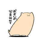 にわねこ寿司（個別スタンプ：36）