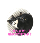 ルナシー3（個別スタンプ：3）
