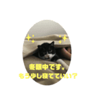 ルナシー3（個別スタンプ：4）