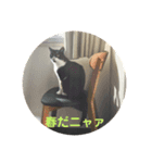 ルナシー3（個別スタンプ：8）
