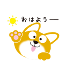 柴犬「だいごろう」（個別スタンプ：2）