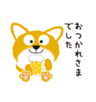 柴犬「だいごろう」（個別スタンプ：5）