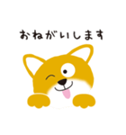 柴犬「だいごろう」（個別スタンプ：14）