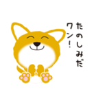 柴犬「だいごろう」（個別スタンプ：16）