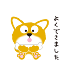 柴犬「だいごろう」（個別スタンプ：17）