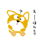 柴犬「だいごろう」（個別スタンプ：23）