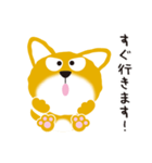 柴犬「だいごろう」（個別スタンプ：33）