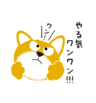 柴犬「だいごろう」（個別スタンプ：36）