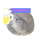 豆太朗（個別スタンプ：3）