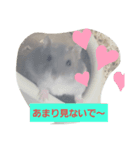 豆太朗（個別スタンプ：4）