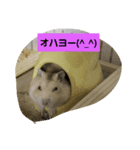 豆太朗（個別スタンプ：5）