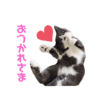 日常ぐーたん（個別スタンプ：3）
