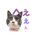 日常ぐーたん（個別スタンプ：4）