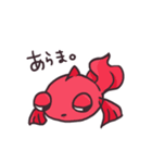 金魚とカメ（個別スタンプ：1）