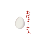 卵屋さんの作る卵スタンプ（個別スタンプ：5）