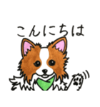 ハッピーなパピヨン犬（個別スタンプ：1）