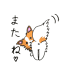 ハッピーなパピヨン犬（個別スタンプ：2）