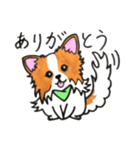 ハッピーなパピヨン犬（個別スタンプ：3）