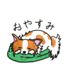 ハッピーなパピヨン犬（個別スタンプ：4）