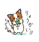 ハッピーなパピヨン犬（個別スタンプ：5）