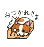 ハッピーなパピヨン犬（個別スタンプ：6）