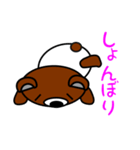 タマクマ サニーサイド アップ（個別スタンプ：37）
