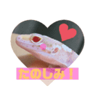 レオパの日常会話2（個別スタンプ：5）