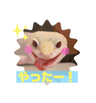 レオパの日常会話2（個別スタンプ：8）