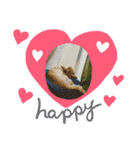 愛犬まるぷー（個別スタンプ：5）