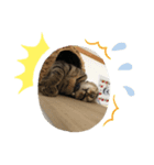 ゴロゴロダラダラ（個別スタンプ：2）