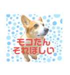 rinabtw111（個別スタンプ：2）