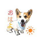 rinabtw111（個別スタンプ：3）